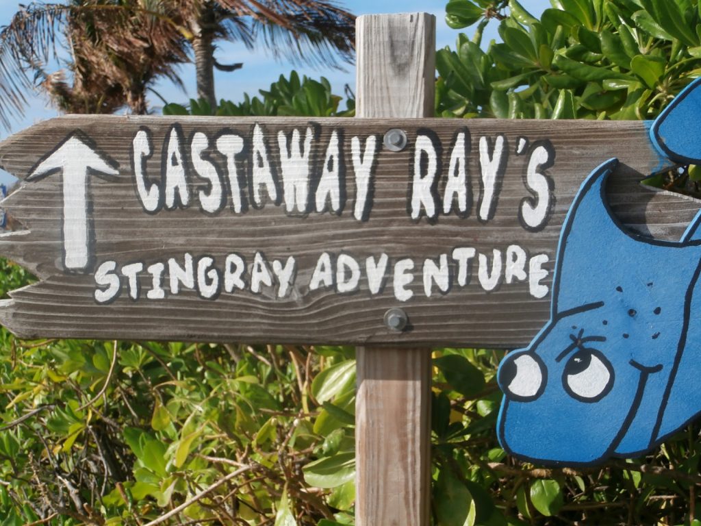 Castaway Ray's
