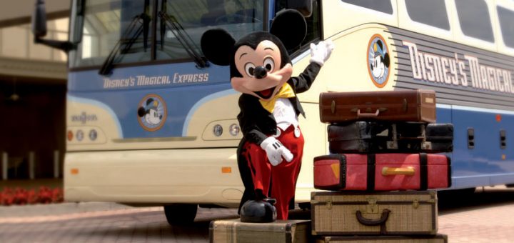 What to pack for a Disney summer vacation is a question many people ask.