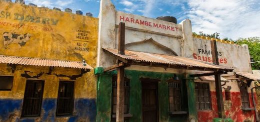 Harambe Market Animal Kingdom