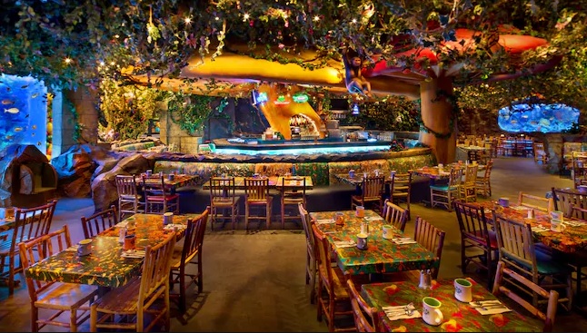 Best Table Service Restaurants at Disney's Animal Kingdom