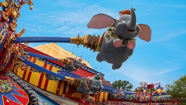 Florida theme parks reopening