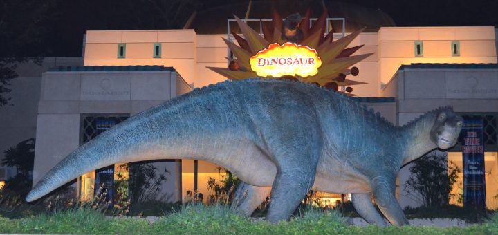 Dinosaur in Animal Kingdom