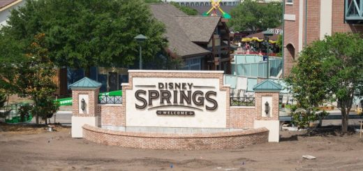 Disney Springs open