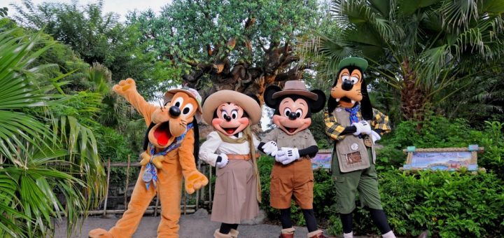 Let's All Go to Animal Kingdom in Walt Disney World! 