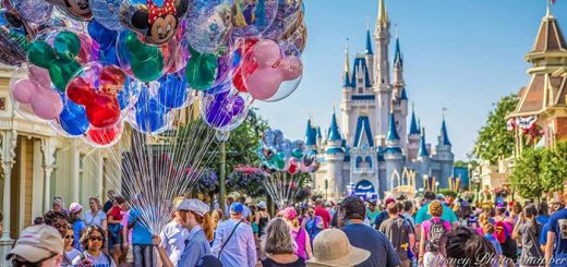 Disney balloon vendor