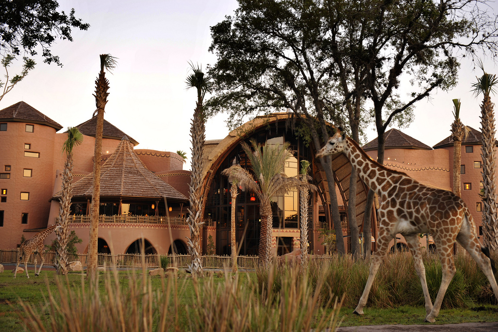 Resorts to Visit Animal Kingdom Lodge