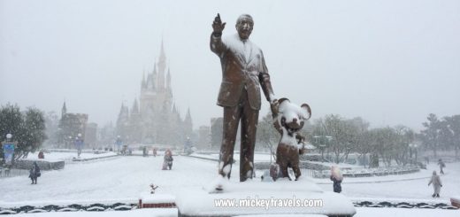 Snow at Disney