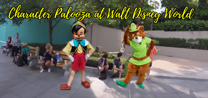 Character Palooza at Walt Disney World