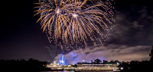 Disney fireworks