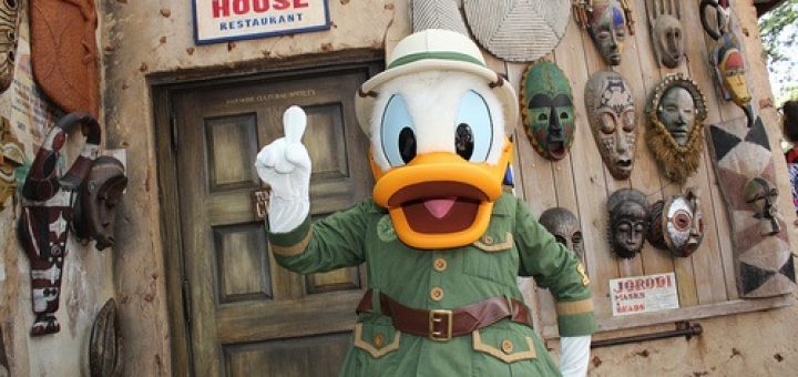 Donald Duck Tusker House