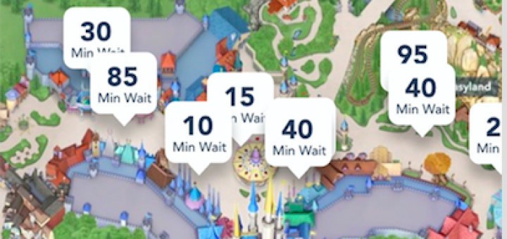 My Disney Experience Wait time