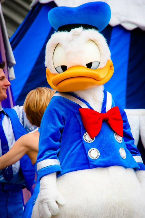 Donald Duck Disney World