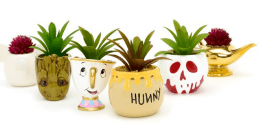Mini Disney Plant Pots