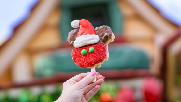 Disneyland Holiday Candy
