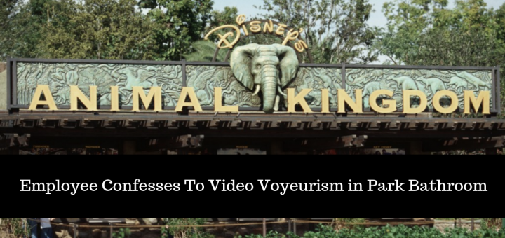 video voyeruism