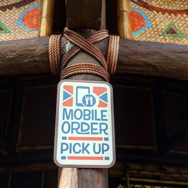Smartphone at Walt Disney World