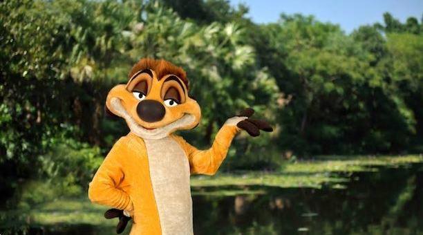 Things only Disney Pros Know about Animal Kingdom 