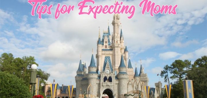 Expecting moms at Disney