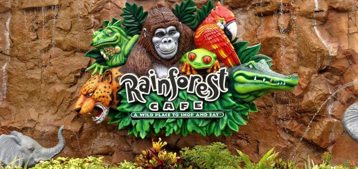 Restaurant Review: Rainforest Cafe in Animal Kingdom 