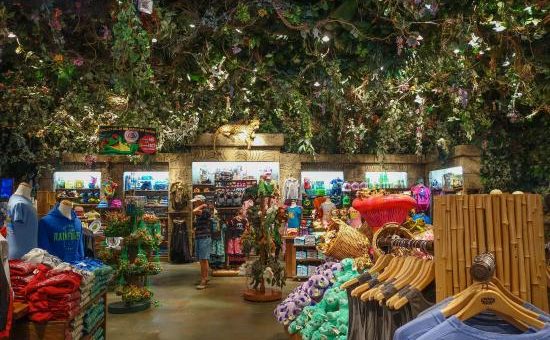 Explore these Awesome Merchandise Locations in Animal Kingdom! -  