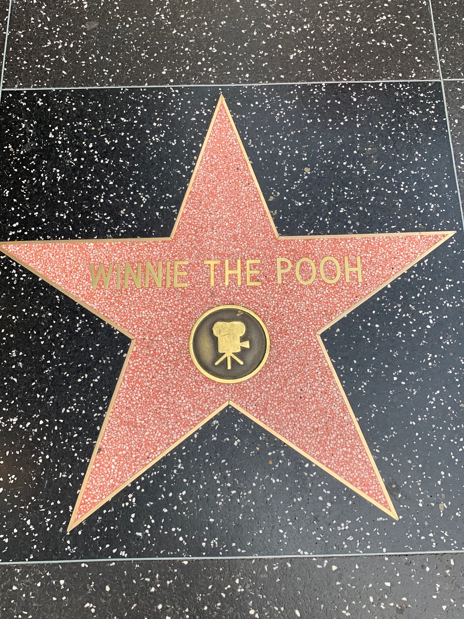 Winnie the Pooh star