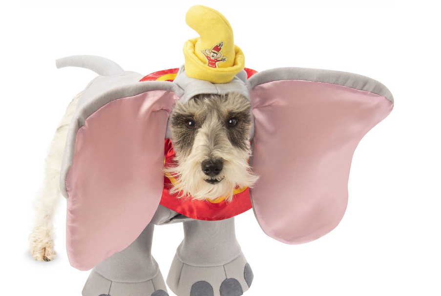 Disney Mickey Minnie Mouse Dog Puppy Pet Fancy Dress Costume XS Small Medium 