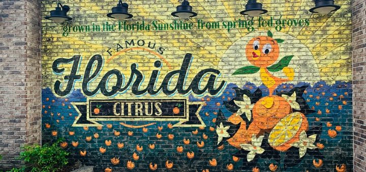 New Instagram Worthy Orange Bird Wall Now At Disney Springs Mickeyblog Com - The Wall Orange Instagram