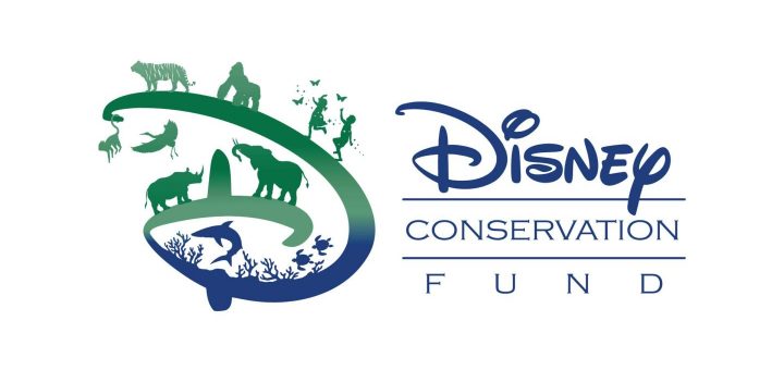 The Disney Conservation Fund Awards $6 Million To 80 Nonprofit Organizations  