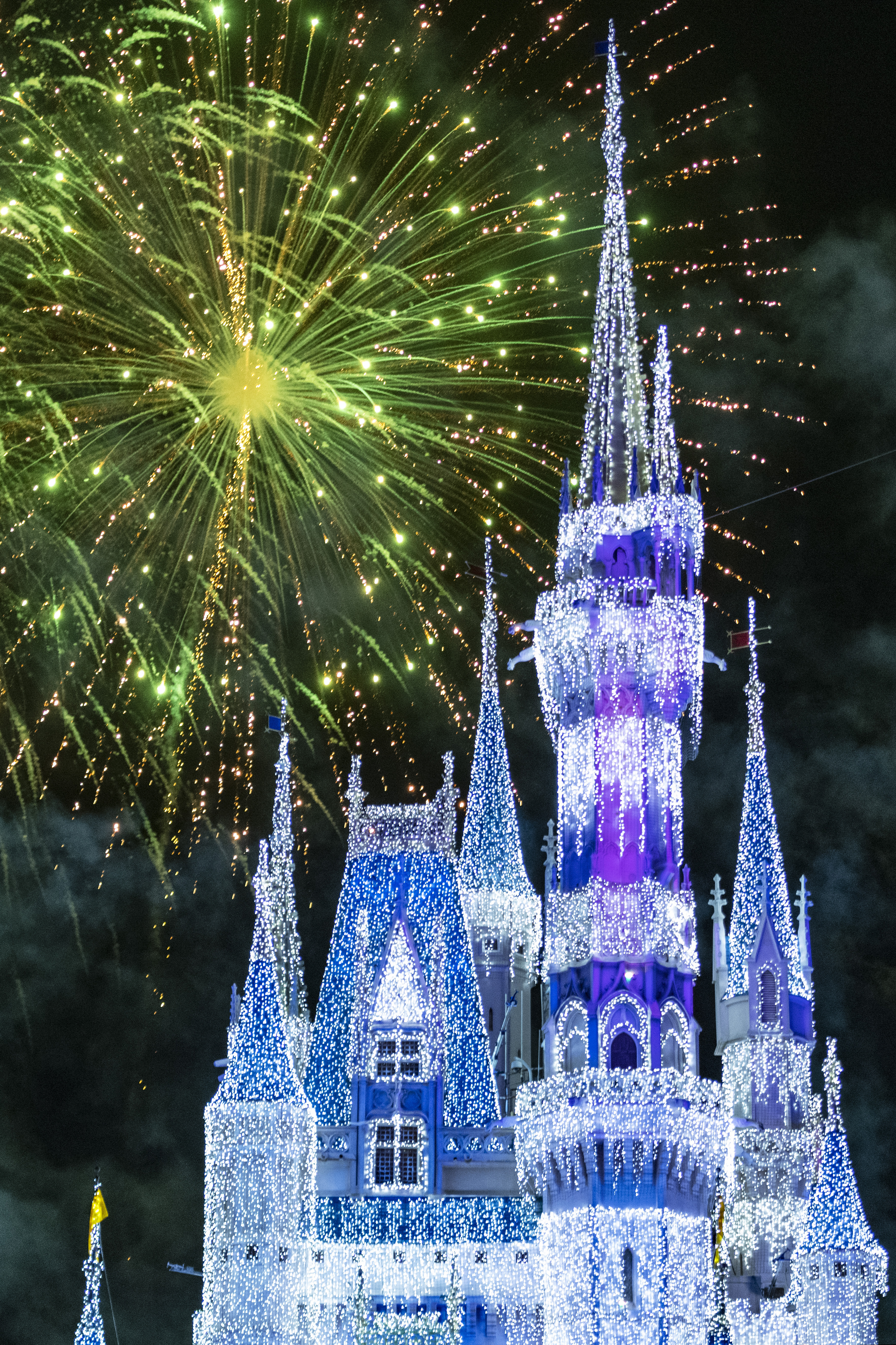 Disney holiday fireworks