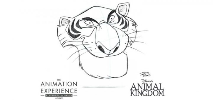Animation Experience