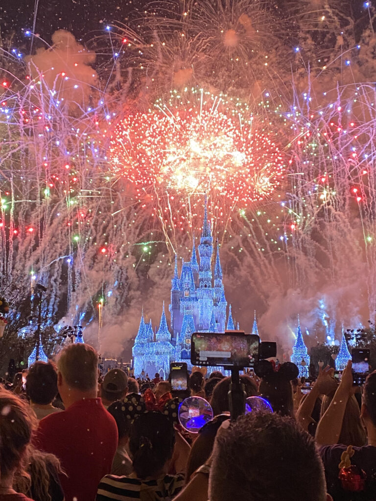 Magic Kingdom New Year's Eve Fireworks