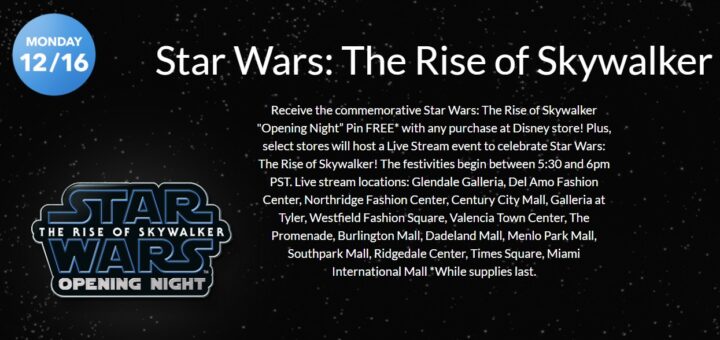 Rise of Skywalker Disney Store