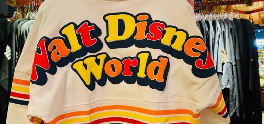 retro Disney spirit jersey