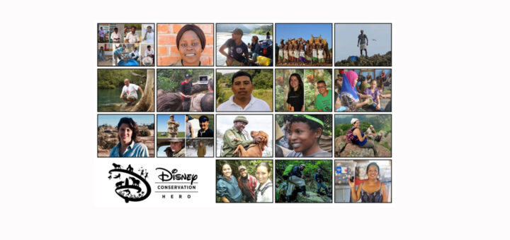 2019 Disney Conservation Fund Heroes