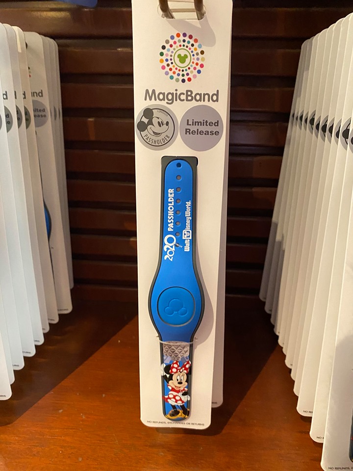 Annual Passholder MagicBand