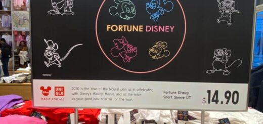 Fortune Disney
