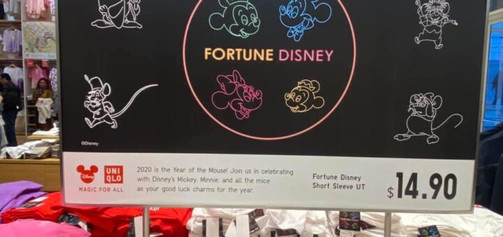 Fortune Disney