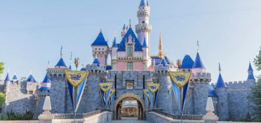 Disneyland reopening