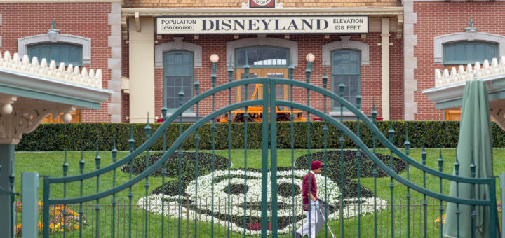 California Disneyland guidelines
