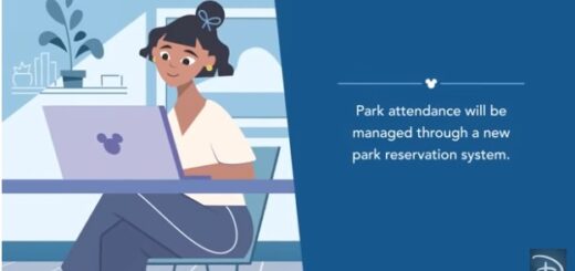 Disney Park reservation system