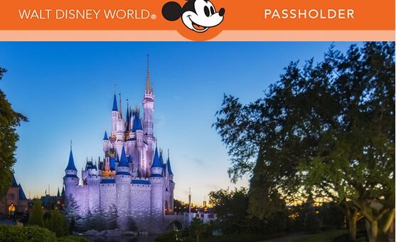 Annual Passholder Disney Park Pass