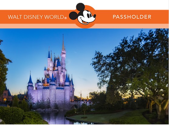 Annual Passholder Disney Park Pass