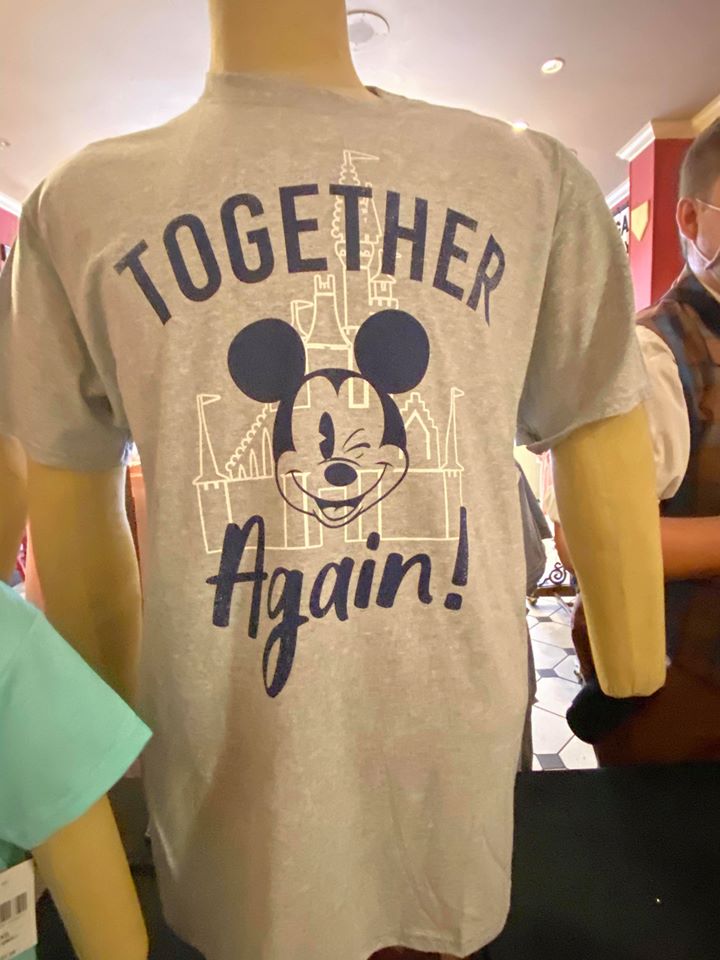 Together Again Disney World t-shirt