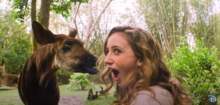 Disney Channel and National Geographic Team Up To Showcase Awesome Animal  Kingdom Animals 