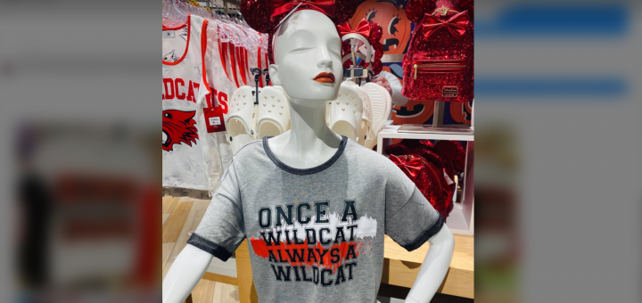 Wildcats Tee | Wildcats Number 14 | High School Musical Wildcats Shirt |  HSM Shirt | Disney Shirts for Women | Disney World | Disney Outfit