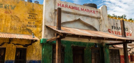 Harambe Market Animal Kingdom