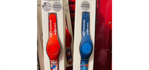 Annual Passholder MagicBand Designs