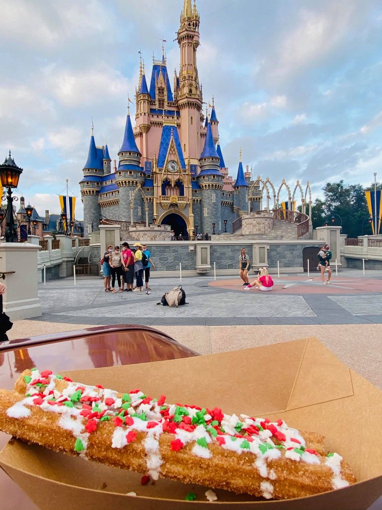 The Holidays At WDW