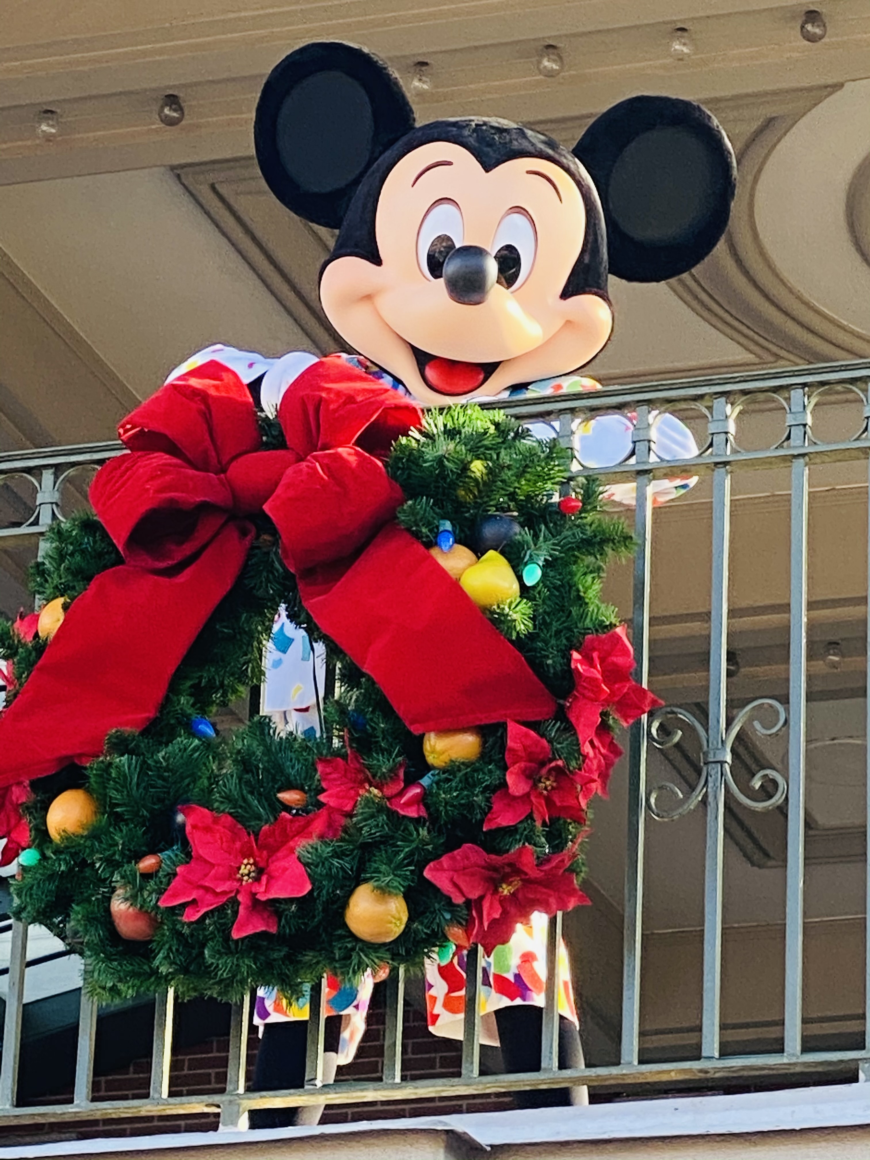 Mickey Mouse Christmas Magic Kingdom
