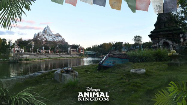 What to Expect during a 2021 Animal Kingdom Visit 